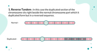 Chromosomal aberrations (structural)