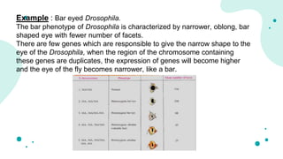 Chromosomal aberrations (structural)