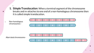 Chromosomal aberrations (structural)