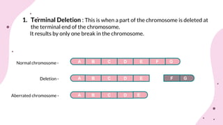 Chromosomal aberrations (structural)