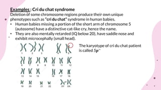 Chromosomal aberrations (structural)
