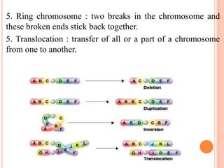 5. Ring chromosome : two breaks in the chromosome and
these broken ends stick back together.
5. Translocation : transfer of all or a part of a chromosome
from one to another.
 