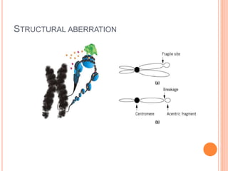 STRUCTURAL ABERRATION
 