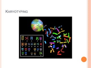 KARYOTYPING
 