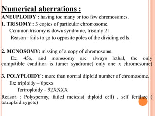 Numerical aberrations :
ANEUPLOIDY : having too many or too few chromosomes.
1. TRISOMY : 3 copies of particular chromosome.
Common trisomy is down syndrome, trisomy 21.
Reason : fails to go to opposite poles of the dividing cells.
2. MONOSOMY: missing of a copy of chromosome.
Ex: 45x, and monosomy are always lethal, the only
compatible condition is turner syndrome( only one x chromosome)
3. POLYPLOIDY : more than normal diploid number of chromosome.
Ex: triploidy – 6pxxx
Tertroploidy – 92XXXX
Reason : Polyspermy, failed meiosis( diploid cell) , self fertilize (
tetraploid zygote)
 