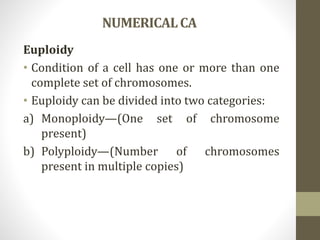 NUMERICALCA
Euploidy
• Condition of a cell has one or more than one
complete set of chromosomes.
• Euploidy can be divided into two categories:
a) Monoploidy—(One set of chromosome
present)
b) Polyploidy—(Number of chromosomes
present in multiple copies)
 