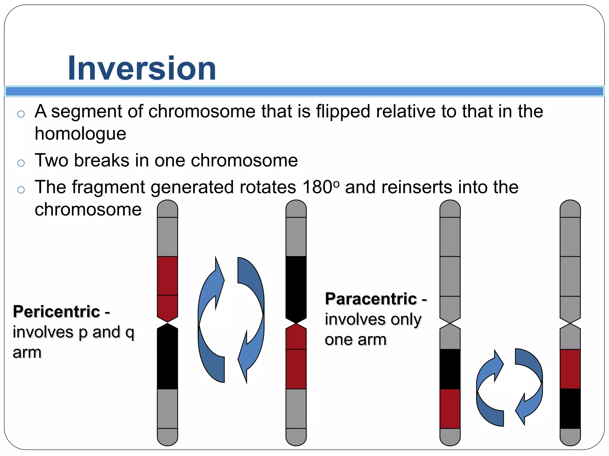 Chromosomal Aberration | PPTX