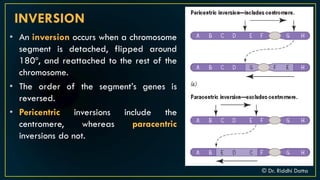 Introduction to Chromosomal Aberration | PDF