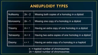 Introduction to Chromosomal Aberration | PDF