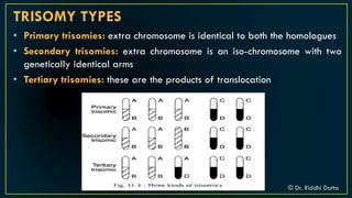 Trisomy Afp Introduction to Chromosomal Aberration | PDF