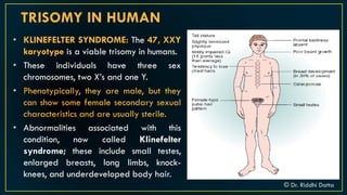 Introduction to Chromosomal Aberration | PDF