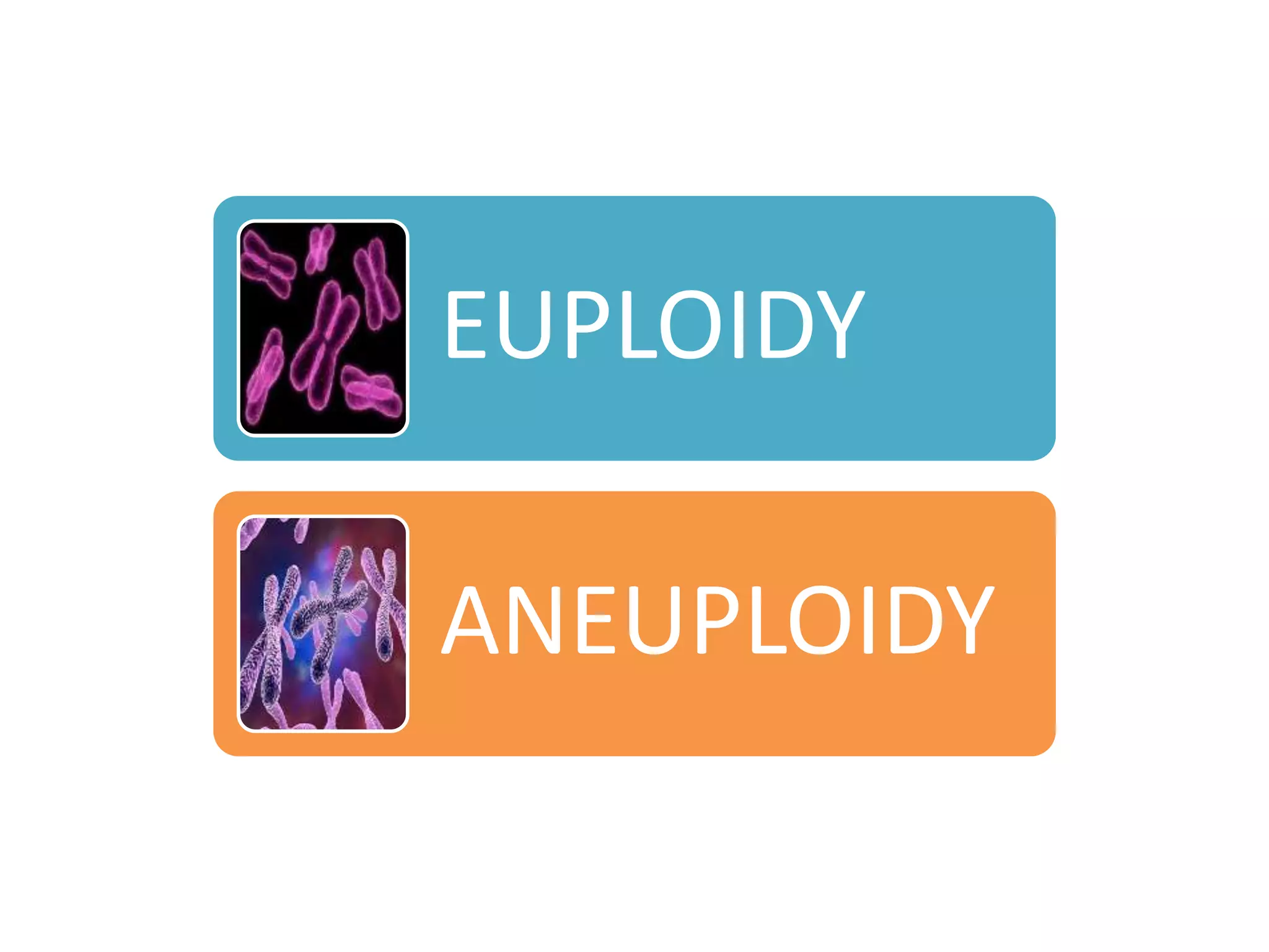 EUPLOIDY
ANEUPLOIDY
 