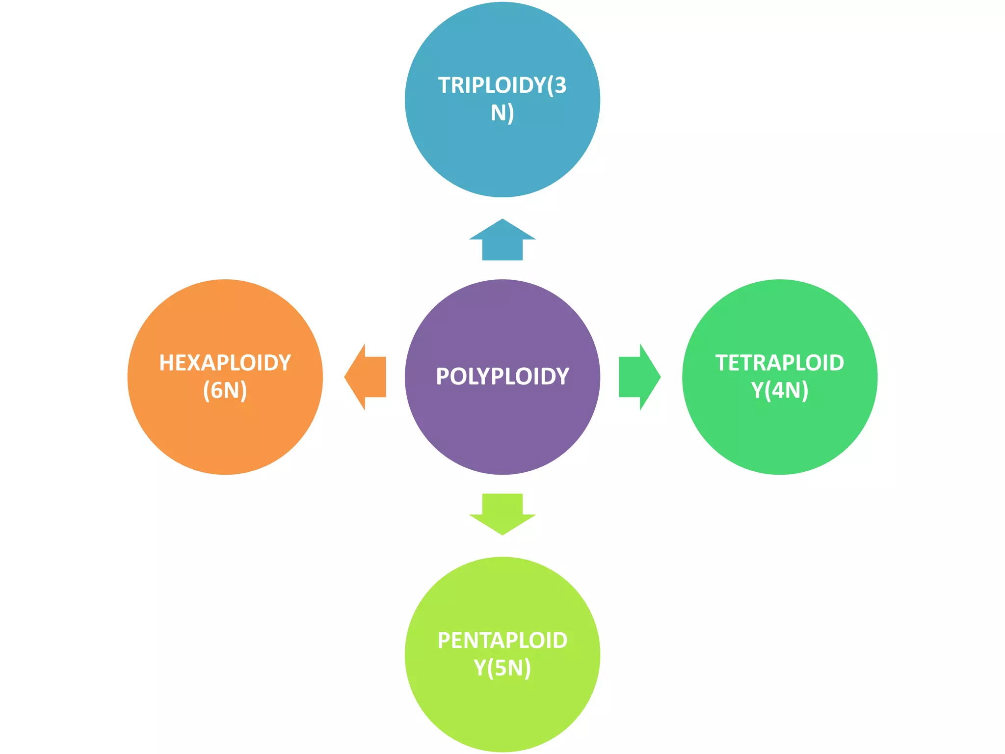 POLYPLOIDY
TRIPLOIDY(3
N)
TETRAPLOID
Y(4N)
PENTAPLOID
Y(5N)
HEXAPLOIDY
(6N)
 