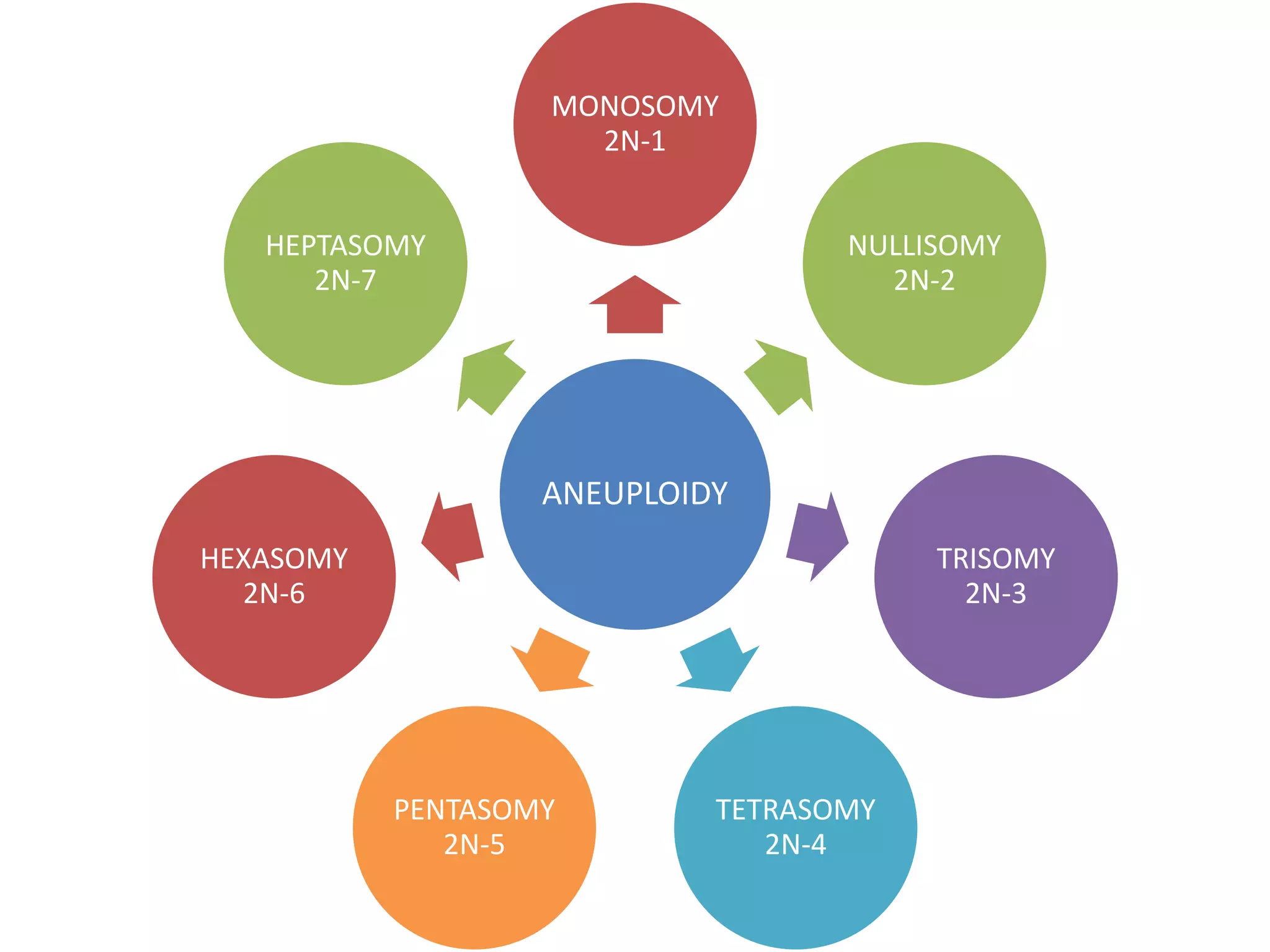 ANEUPLOIDY
MONOSOMY
2N-1
NULLISOMY
2N-2
TRISOMY
2N-3
TETRASOMY
2N-4
PENTASOMY
2N-5
HEXASOMY
2N-6
HEPTASOMY
2N-7
 