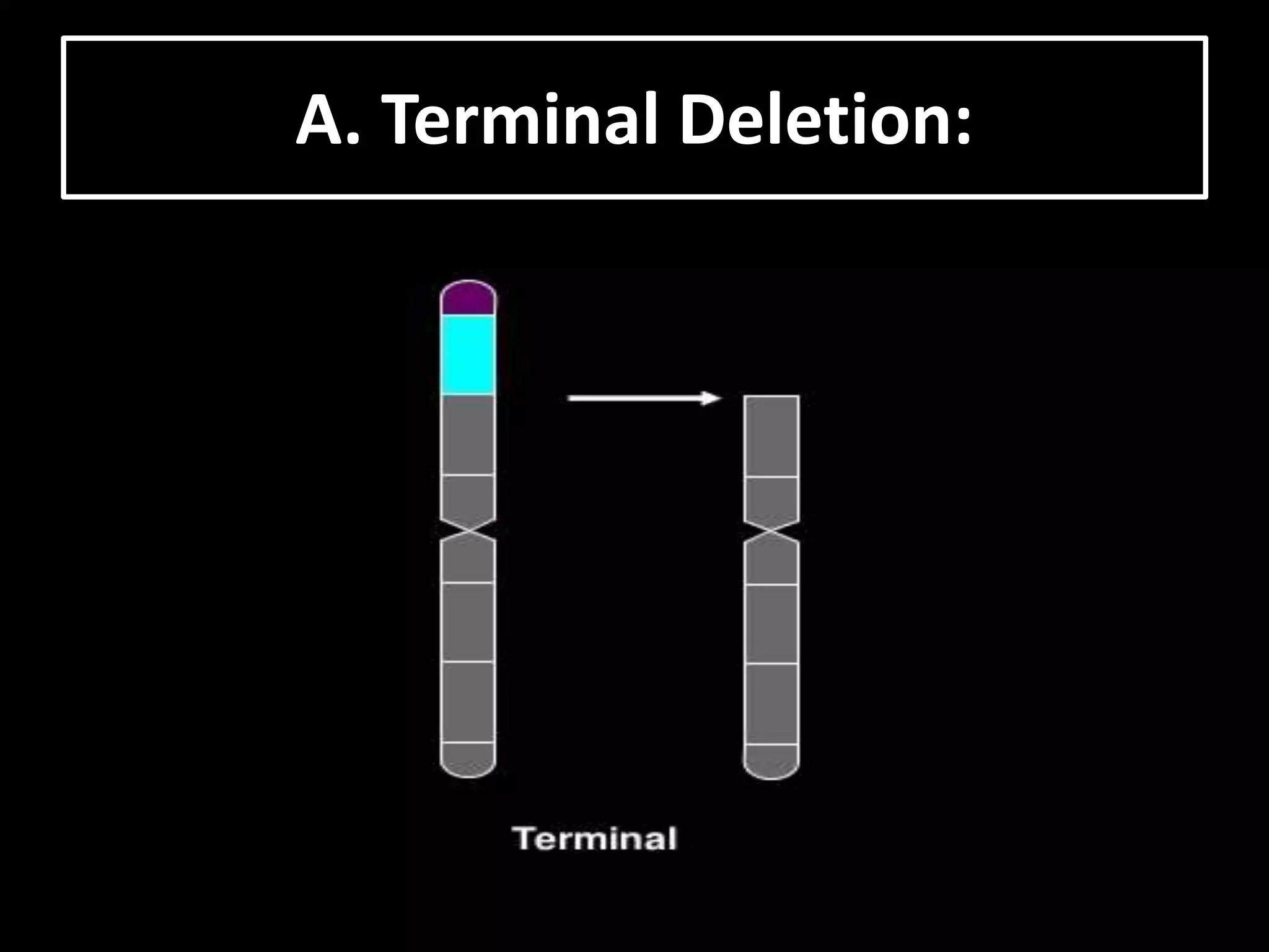 A. Terminal Deletion:
 
