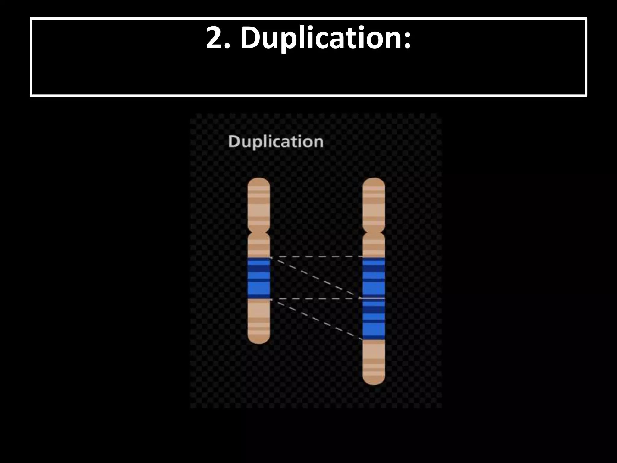 2. Duplication:
 