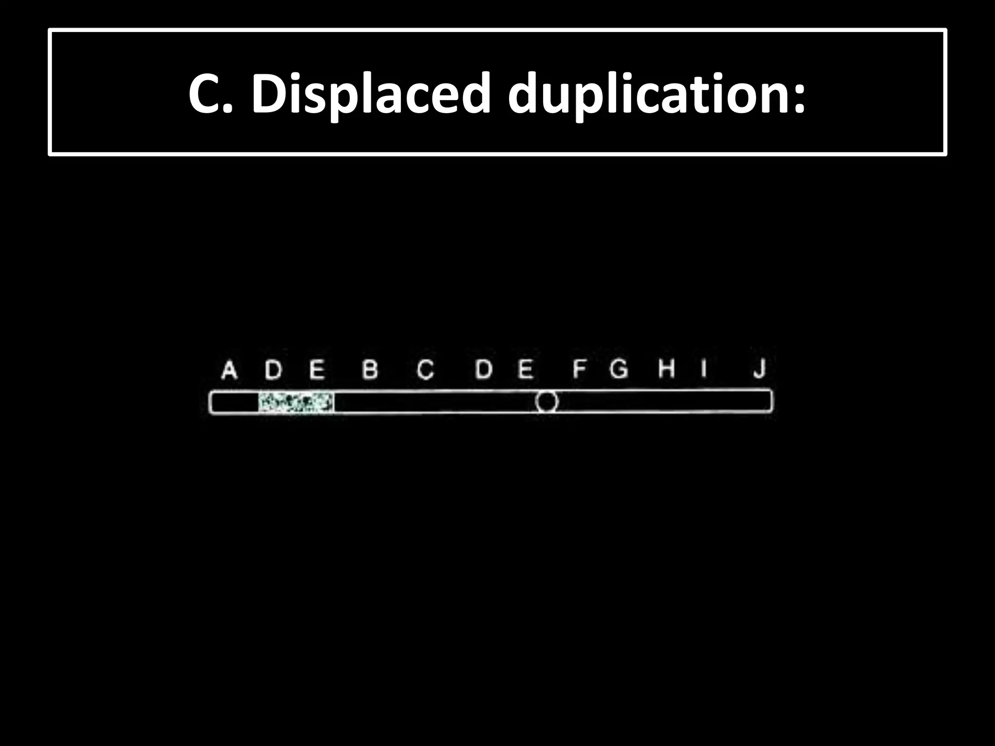 C. Displaced duplication:
 