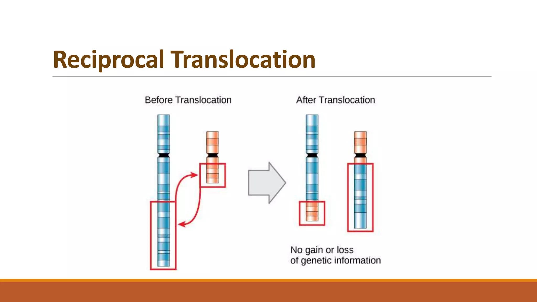 Reciprocal Translocation
 