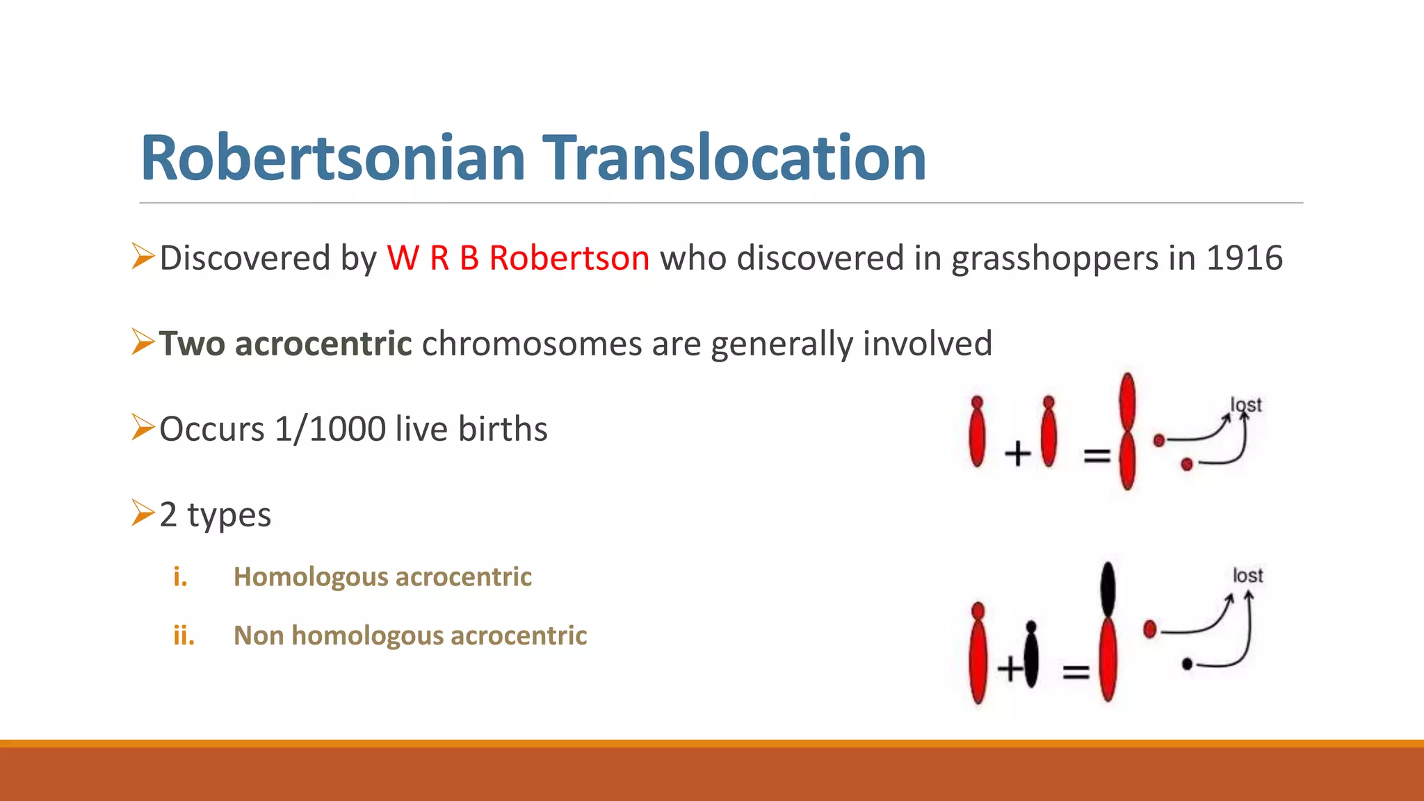 Robertsonian Translocation
Discovered by W R B Robertson who discovered in grasshoppers in 1916
Two acrocentric chromosomes are generally involved
Occurs 1/1000 live births
2 types
i. Homologous acrocentric
ii. Non homologous acrocentric
 