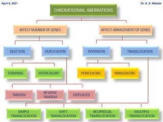 CHROMOSOMAL ABERRATIONS
PERICENTRIC PARACENTRIC
TRANSLOCATION
DELETION
TERMINAL INTERCALARY
SIMPLE
TRANSLOCATION
AFFECT NUMBER OF GENES AFFECT ARRAGEMENT OF GENES
TANDEM
REVERSE
TANDEM
DISPLACED
DUPLICATION INVERSION
RECIPROCAL
TRANSLOCATION
MULTIPLE
TRANSLOCATION
SHIFT
TRANSLOCATION
April 8, 2021 Dr. A. S. Wabale
 