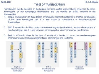 Translocated Incompatibility Nonreciprocal Translocation