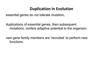Duplication in Evolution
essential genes do not tolerate mutation,
duplications of essential genes, then subsequent
mutations, confers adaptive potential to the organism,
new gene family members are ‘recruited’ to perform new
functions.
 