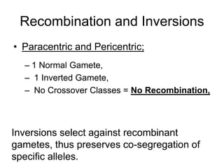 Recombination and Inversions
• Paracentric and Pericentric;
– 1 Normal Gamete,
– 1 Inverted Gamete,
– No Crossover Classes = No Recombination,
Inversions select against recombinant
gametes, thus preserves co-segregation of
specific alleles.
 