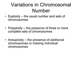 Variations in Chromosomal
Number
• Euploidy – the usual number and sets of
chromosomes
• Polyploidy – the presence of three or more
complete sets of chromosomes
• Aneuploidy – the presence of additional
chromosomes or missing individual
chromosomes
 