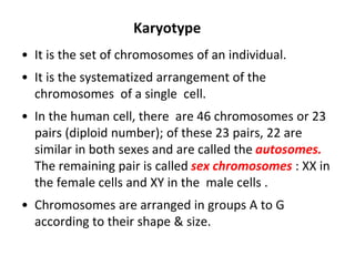 Karyotype
• It is the set of chromosomes of an individual.
• It is the systematized arrangement of the
chromosomes of a single cell.
• In the human cell, there are 46 chromosomes or 23
pairs (diploid number); of these 23 pairs, 22 are
similar in both sexes and are called the autosomes.
The remaining pair is called sex chromosomes : XX in
the female cells and XY in the male cells .
• Chromosomes are arranged in groups A to G
according to their shape & size.
 