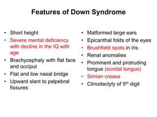 Features of Down Syndrome
• Short height
• Severe mental deficiency
with decline in the IQ with
age
• Brachycephaly with flat face
and occiput
• Flat and low nasal bridge
• Upward slant to palpebral
fissures
• Malformed large ears
• Epicanthal folds of the eyes
• Brushfield spots in iris
• Renal anomalies
• Prominent and protruding
tongue (scrotal tongue)
• Simian crease
• Clinodactyly of 5th digit
 