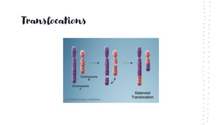 Translocations
 