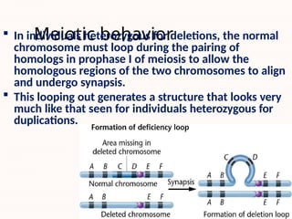 Structure Generates Behavior Chromosomal Aberrations Dr. Thirunahari Ugandhar.pptx