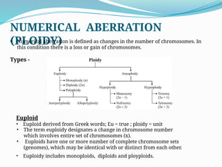 Comprehensive Overview of Chromosomal Aberrations in Genetics | PPTX