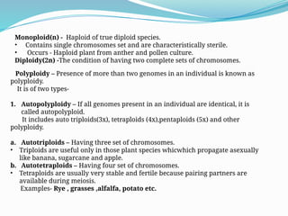 Comprehensive Overview of Chromosomal Aberrations in Genetics | PPTX