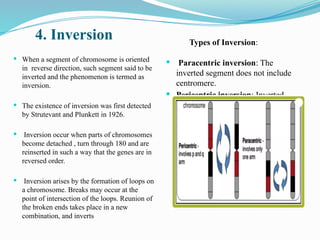Comprehensive Overview of Chromosomal Aberrations in Genetics | PPTX