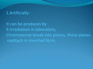 1.Artificially: 
It can be produces by 
X-irradiation in laboratory, 
Chromosome break into pieces, these pieces 
reattach in inverted form. 
 