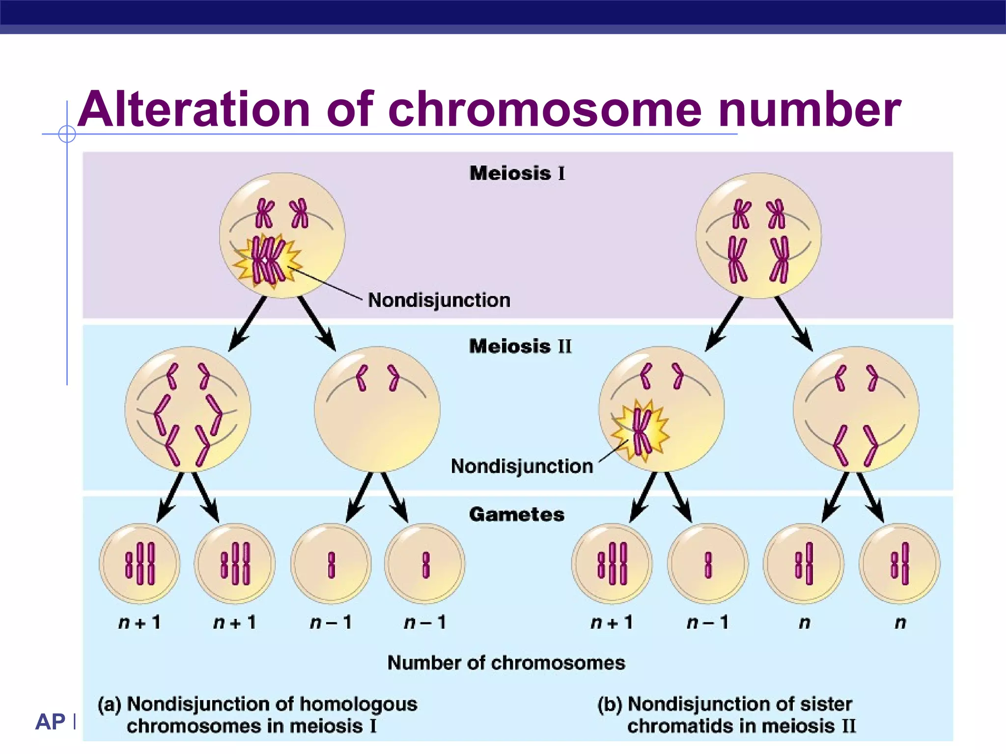 Alteration of chromosome number 