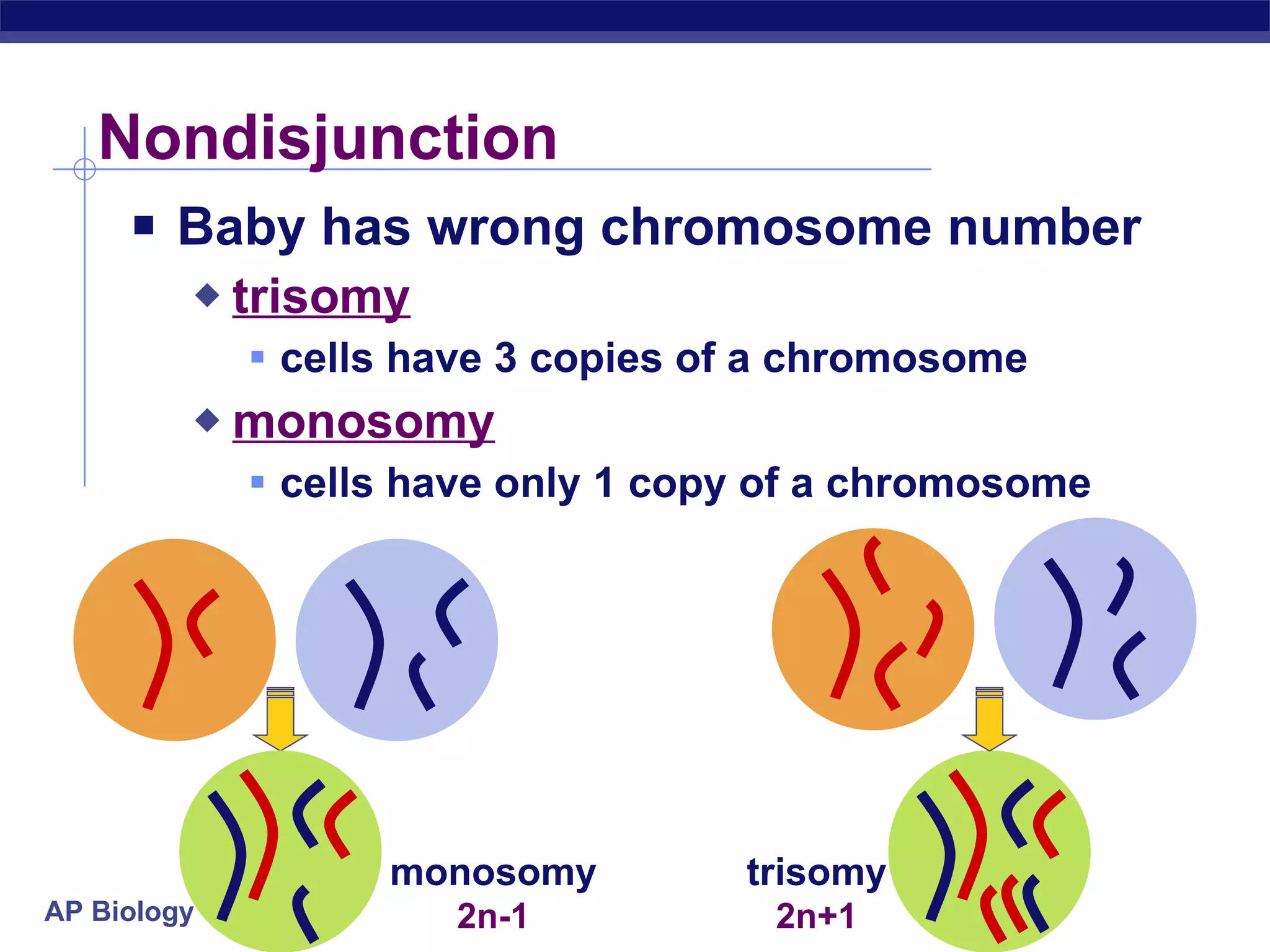 Nondisjunction  Baby has wrong chromosome number trisomy   cells have 3 copies of a chromosome  monosomy   cells have only 1 copy of a chromosome  trisomy 2n+1 monosomy 2n-1 