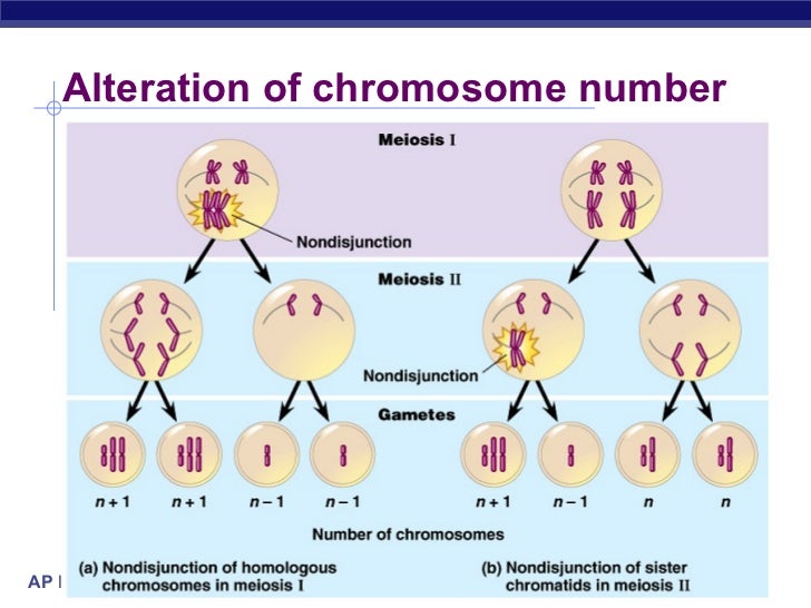 Chromosomal abnormalities