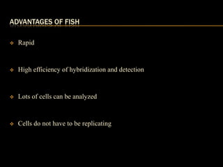 ADVANTAGES OF FISH

   Rapid


   High efficiency of hybridization and detection


   Lots of cells can be analyzed


   Cells do not have to be replicating
 
