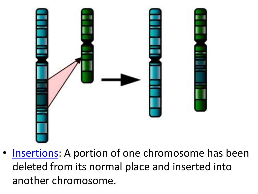 Chromosomal abnormalities