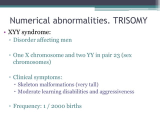 Numerical abnormalities. TRISOMY
• XYY syndrome:
▫ Disorder affecting men
▫ One X chromosome and two YY in pair 23 (sex
chromosomes)
▫ Clinical symptoms:
 Skeleton malformations (very tall)
 Moderate learning disabilities and aggressiveness
▫ Frequency: 1 / 2000 births
 