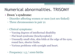 Numerical abnormalities. TRISOMY
• Down´s syndrome:
▫ Disorder affecting women or men (not sex-linked)
▫ Three chromosomes in pair 21
▫ Clinical symptoms:
 Varying degrees of intellectual disability
 Flat head syndrome (brachycephaly)
 Unusually small chin, skin folds at the edge of the eyes,
round face, shorter limbs.
 Various problems with eyesight and heart.
▫ Frequency: 1.5 / 1000 births
 