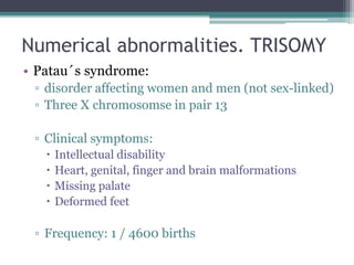 Numerical abnormalities. TRISOMY
• Patau´s syndrome:
▫ disorder affecting women and men (not sex-linked)
▫ Three X chromosomse in pair 13
▫ Clinical symptoms:
 Intellectual disability
 Heart, genital, finger and brain malformations
 Missing palate
 Deformed feet
▫ Frequency: 1 / 4600 births
 