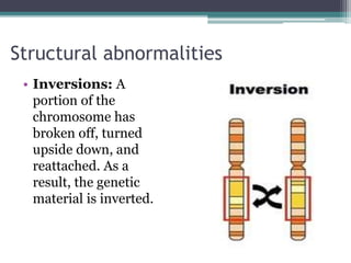 Structural abnormalities
• Inversions: A
portion of the
chromosome has
broken off, turned
upside down, and
reattached. As a
result, the genetic
material is inverted.
 