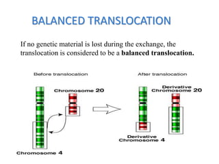 BALANCED TRANSLOCATION
If no genetic material is lost during the exchange, the
translocation is considered to be a balanced translocation.
 