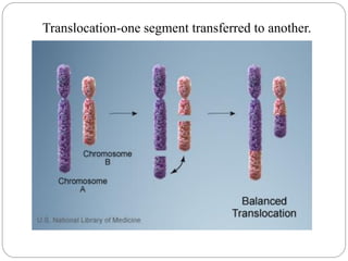 Translocation Visual Chromosomal Abnormalities-Sasi-converted.pdf