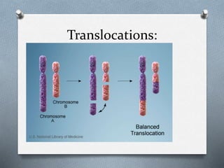 Translocations:
 