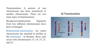 chromosomal abnormalities in humans PPT .pptx