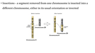 • Insertions - a segment removed from one chromosome is inserted into a
different chromosome, either in its usual orientation or inverted
 